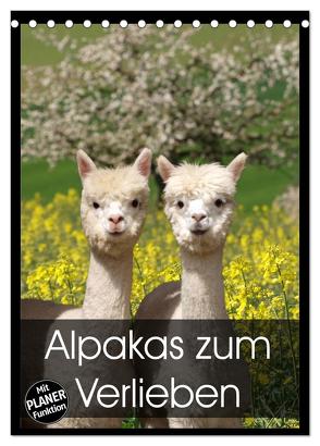 Alpakas zum Verlieben (Tischkalender 2024 DIN A5 hoch), CALVENDO Monatskalender von Rentschler,  Heidi