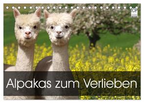 Alpakas zum Verlieben (Tischkalender 2024 DIN A5 quer), CALVENDO Monatskalender von Rentschler,  Heidi