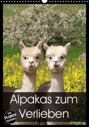 Alpakas zum Verlieben (Wandkalender 2018 DIN A3 hoch) von Rentschler,  Heidi