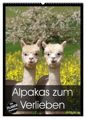 Alpakas zum Verlieben (Wandkalender 2024 DIN A2 hoch), CALVENDO Monatskalender von Rentschler,  Heidi