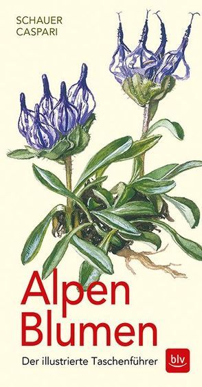 Alpen-Blumen von Caspari,  Claus, Caspari,  Stefan, Schauer,  Thomas