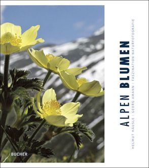 Alpen Blumen von Amann,  Georg, Häusle,  Helmut