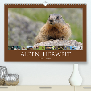 Alpen Tierwelt (Premium, hochwertiger DIN A2 Wandkalender 2020, Kunstdruck in Hochglanz) von Tappeiner,  Kurt