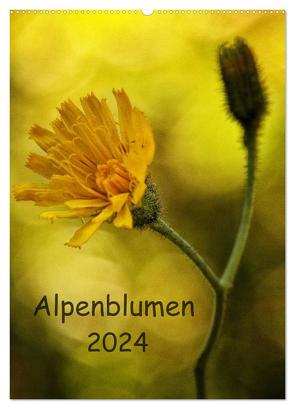 Alpenblumen 2024 (Wandkalender 2024 DIN A2 hoch), CALVENDO Monatskalender von Arnold,  Hernegger