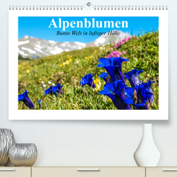 Alpenblumen. Bunte Welt in luftiger Höhe (Premium, hochwertiger DIN A2 Wandkalender 2023, Kunstdruck in Hochglanz) von Stanzer,  Elisabeth