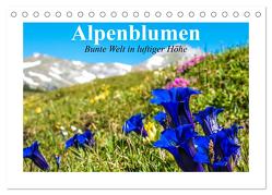 Alpenblumen. Bunte Welt in luftiger Höhe (Tischkalender 2024 DIN A5 quer), CALVENDO Monatskalender von Stanzer,  Elisabeth