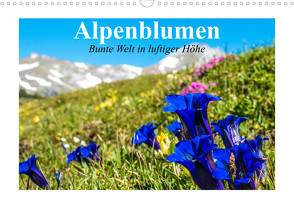 Alpenblumen. Bunte Welt in luftiger Höhe (Wandkalender 2023 DIN A3 quer) von Stanzer,  Elisabeth