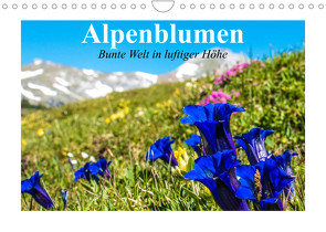 Alpenblumen. Bunte Welt in luftiger Höhe (Wandkalender 2023 DIN A4 quer) von Stanzer,  Elisabeth