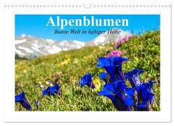 Alpenblumen. Bunte Welt in luftiger Höhe (Wandkalender 2024 DIN A3 quer), CALVENDO Monatskalender von Stanzer,  Elisabeth