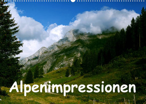 Alpenimpressionen, Region Schweiz/Frankreich (Wandkalender 2022 DIN A2 quer) von HM-Fotodesign