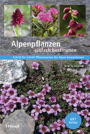 Alpenpflanzen einfach bestimmen von Eggenberg,  Stefan, Kammer,  Peter M.