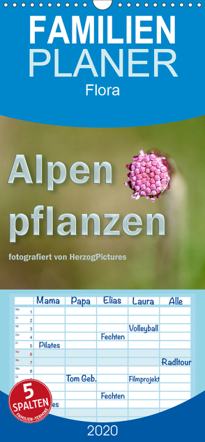 Alpenpflanzen fotografiert von HerzogPictures – Familienplaner hoch (Wandkalender 2020 , 21 cm x 45 cm, hoch) von HerzogPictures