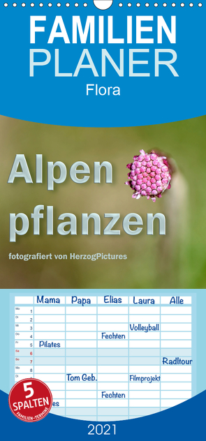 Alpenpflanzen fotografiert von HerzogPictures – Familienplaner hoch (Wandkalender 2021 , 21 cm x 45 cm, hoch) von HerzogPictures