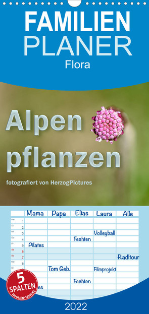 Alpenpflanzen fotografiert von HerzogPictures – Familienplaner hoch (Wandkalender 2022 , 21 cm x 45 cm, hoch) von HerzogPictures