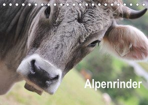 Alpenrinder (Tischkalender 2023 DIN A5 quer) von Lantzsch,  Katrin