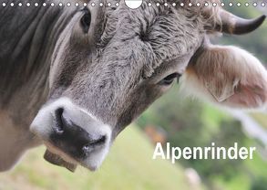 Alpenrinder (Wandkalender 2018 DIN A4 quer) von Lantzsch,  Katrin