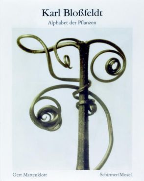 Alphabet der Pflanzen von Blossfeldt,  Karl, Mattenklott,  Gert