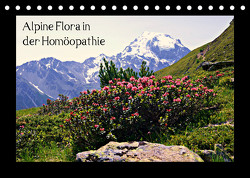 Alpine Flora in der Homöopathie (Tischkalender 2023 DIN A5 quer) von Schimon,  Claudia