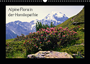 Alpine Flora in der Homöopathie (Wandkalender 2021 DIN A3 quer) von Schimon,  Claudia