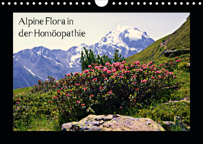 Alpine Flora in der Homöopathie (Wandkalender 2021 DIN A4 quer) von Schimon,  Claudia