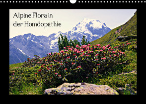 Alpine Flora in der Homöopathie (Wandkalender 2022 DIN A3 quer) von Schimon,  Claudia