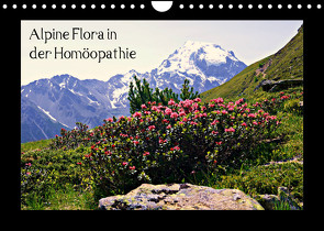 Alpine Flora in der Homöopathie (Wandkalender 2023 DIN A4 quer) von Schimon,  Claudia