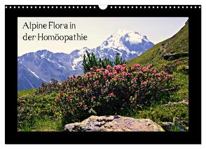 Alpine Flora in der Homöopathie (Wandkalender 2024 DIN A3 quer), CALVENDO Monatskalender von Schimon,  Claudia