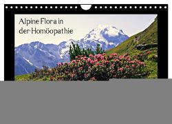 Alpine Flora in der Homöopathie (Wandkalender 2024 DIN A4 quer), CALVENDO Monatskalender von Schimon,  Claudia