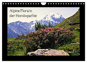 Alpine Flora in der Homöopathie (Wandkalender 2024 DIN A4 quer), CALVENDO Monatskalender von Schimon,  Claudia