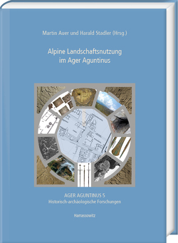 Alpine Landschaftsnutzung im Ager Aguntinus von Auer,  Martin, Stadler,  Harald