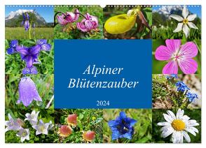 Alpiner Blütenzauber (Wandkalender 2024 DIN A2 quer), CALVENDO Monatskalender von Bucher,  Leo
