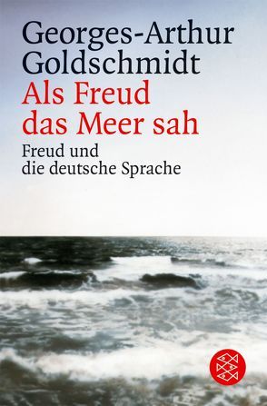 Als Freud das Meer sah von Goldschmidt,  Georges-Arthur, Große,  Brigitte