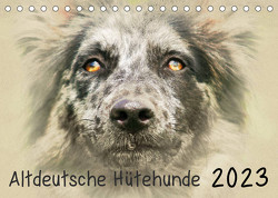 Altdeutsche Hütehunde 2023 (Tischkalender 2023 DIN A5 quer) von Redecker,  Andrea