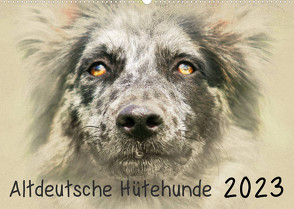 Altdeutsche Hütehunde 2023 (Wandkalender 2023 DIN A2 quer) von Redecker,  Andrea