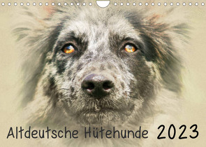 Altdeutsche Hütehunde 2023 (Wandkalender 2023 DIN A4 quer) von Redecker,  Andrea