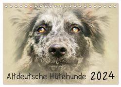 Altdeutsche Hütehunde 2024 (Tischkalender 2024 DIN A5 quer), CALVENDO Monatskalender von Redecker,  Andrea