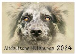 Altdeutsche Hütehunde 2024 (Wandkalender 2024 DIN A2 quer), CALVENDO Monatskalender von Redecker,  Andrea