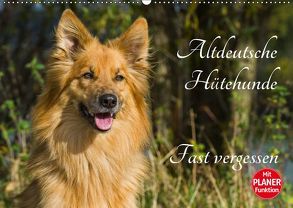 Altdeutsche Hütehunde – Fast vergessen (Wandkalender 2019 DIN A2 quer) von Starick,  Sigrid