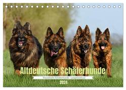 Altdeutsche Schäferhunde – Traumhafte Schäferhunde Langstockhaar (Tischkalender 2024 DIN A5 quer), CALVENDO Monatskalender von K. Fotografie,  Jana