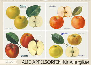 Alte Apfelsorten für Allergiker (Wandkalender 2022 DIN A2 quer) von M. Laube,  Lucy