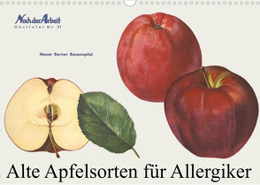 Alte Apfelsorten für Allergiker (Wandkalender 2022 DIN A3 quer) von 1948,  Willi