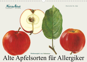 Alte Apfelsorten für Allergiker (Wandkalender 2023 DIN A3 quer) von 1948,  Willi