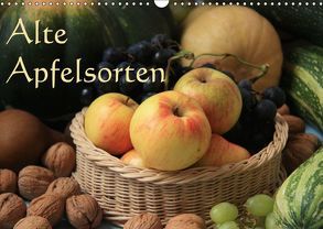 Alte Apfelsorten (Wandkalender 2019 DIN A3 quer) von Bildarchiv / I. Gebhard,  Geotop
