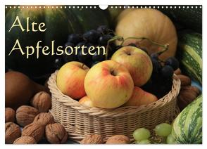 Alte Apfelsorten (Wandkalender 2024 DIN A3 quer), CALVENDO Monatskalender von Bildarchiv / I. Gebhard,  Geotop