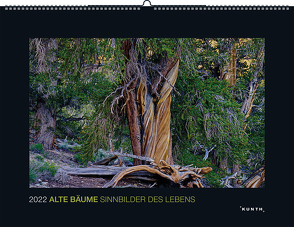 Alte Bäume – Sinnbilder des Lebens 2022 von KUNTH Verlag