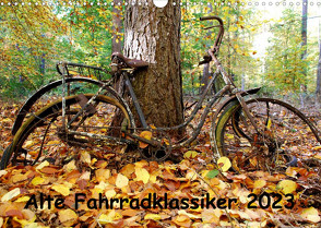 Alte Fahrradklassiker 2023 (Wandkalender 2023 DIN A3 quer) von Herms,  Dirk