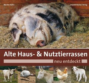 Alte Haus- & Nutztierrassen neu entdeckt von Haller,  Martin