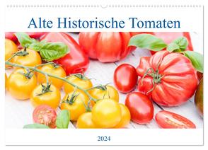 Alte Historische Tomaten (Wandkalender 2024 DIN A2 quer), CALVENDO Monatskalender von EflStudioArt,  EflStudioArt