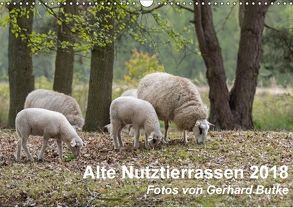 Alte Nutztierrassen 2018 (Wandkalender 2018 DIN A3 quer) von Butke,  Gerhard