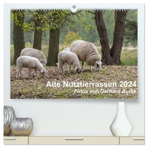 Alte Nutztierrassen 2024 (hochwertiger Premium Wandkalender 2024 DIN A2 quer), Kunstdruck in Hochglanz von Butke,  Gerhard